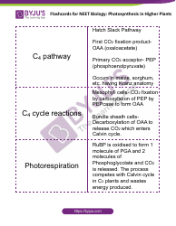 Biology Flashcards - Photosynthesis in Higher Plants, Page 7