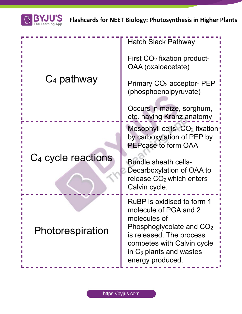 Biology Flashcards - Photosynthesis in Higher Plants, Page 7