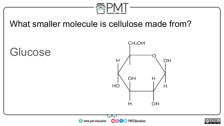 Cie Biology Igcse Flashcards - Biological Molecules, Page 11