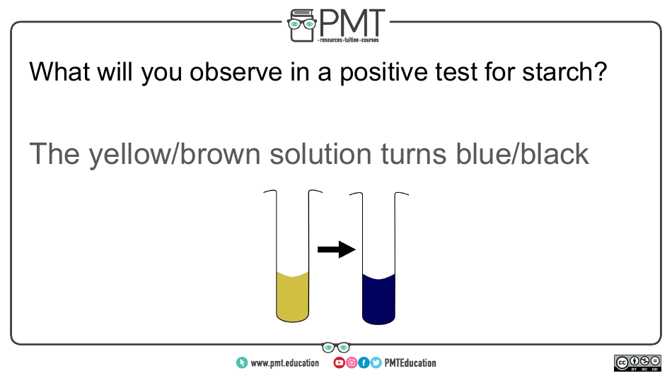Cie Biology Igcse Flashcards - Biological Molecules, Page 19