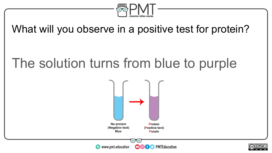 Cie Biology Igcse Flashcards - Biological Molecules, Page 27