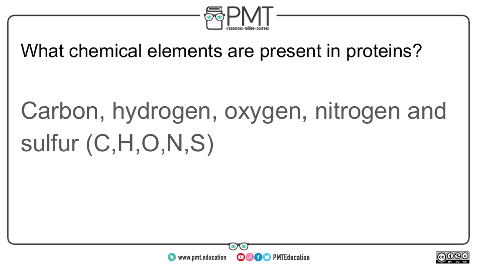Cie Biology Igcse Flashcards - Biological Molecules, Page 7