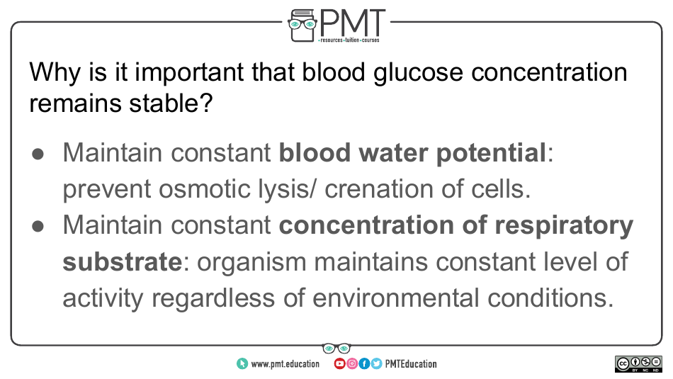 Biology Flashcards - Hormonal Communication, Page 13
