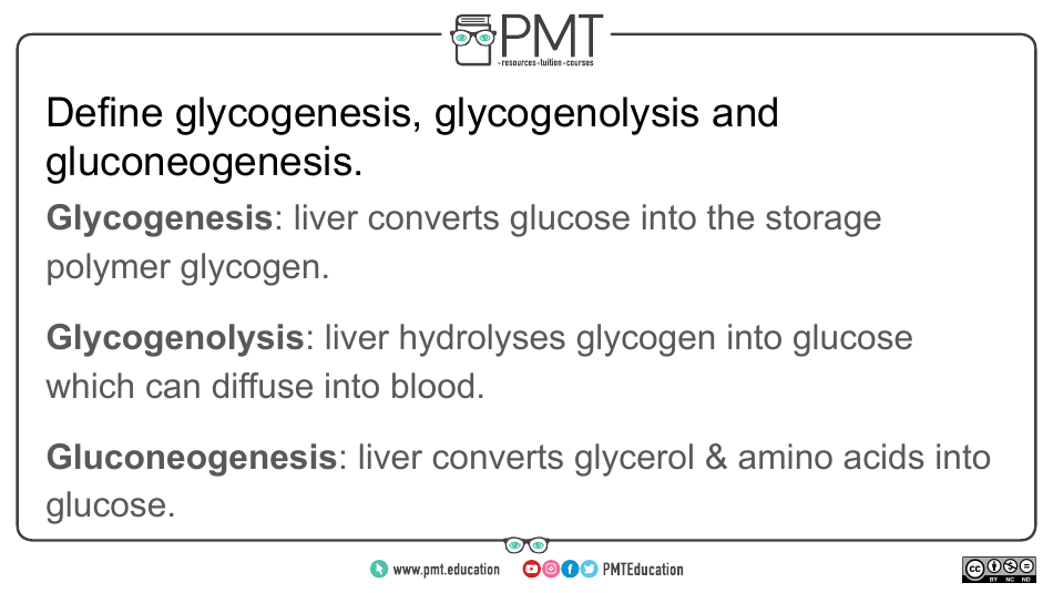 Biology Flashcards - Hormonal Communication, Page 17