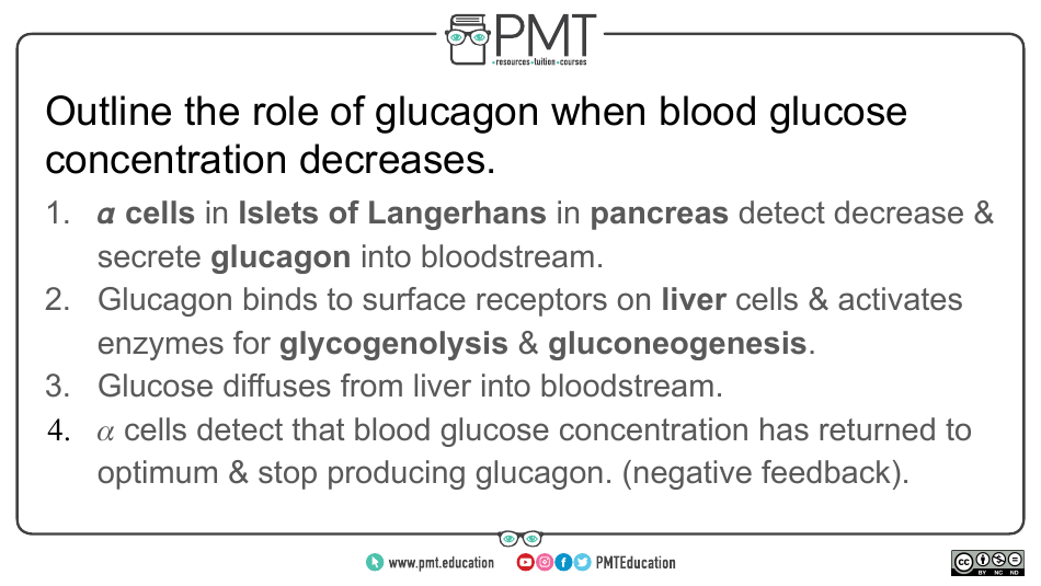Biology Flashcards - Hormonal Communication, Page 19
