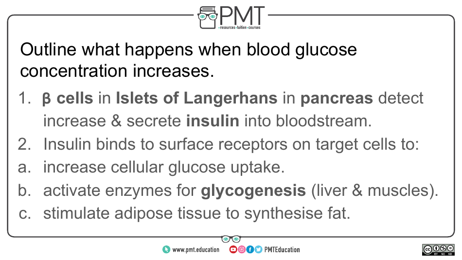 Biology Flashcards - Hormonal Communication, Page 23