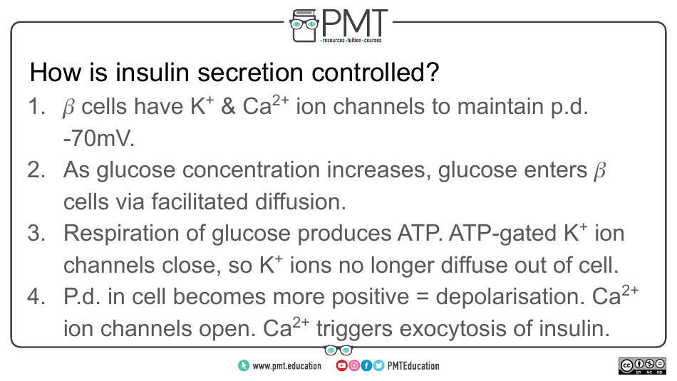 Biology Flashcards - Hormonal Communication, Page 27