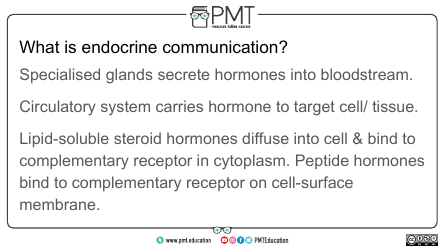 Biology Flashcards - Hormonal Communication, Page 3