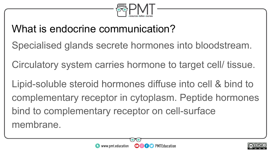 Biology Flashcards - Hormonal Communication, Page 3