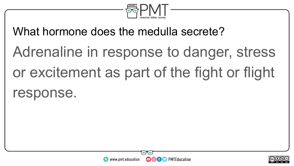 Biology Flashcards - Hormonal Communication, Page 7