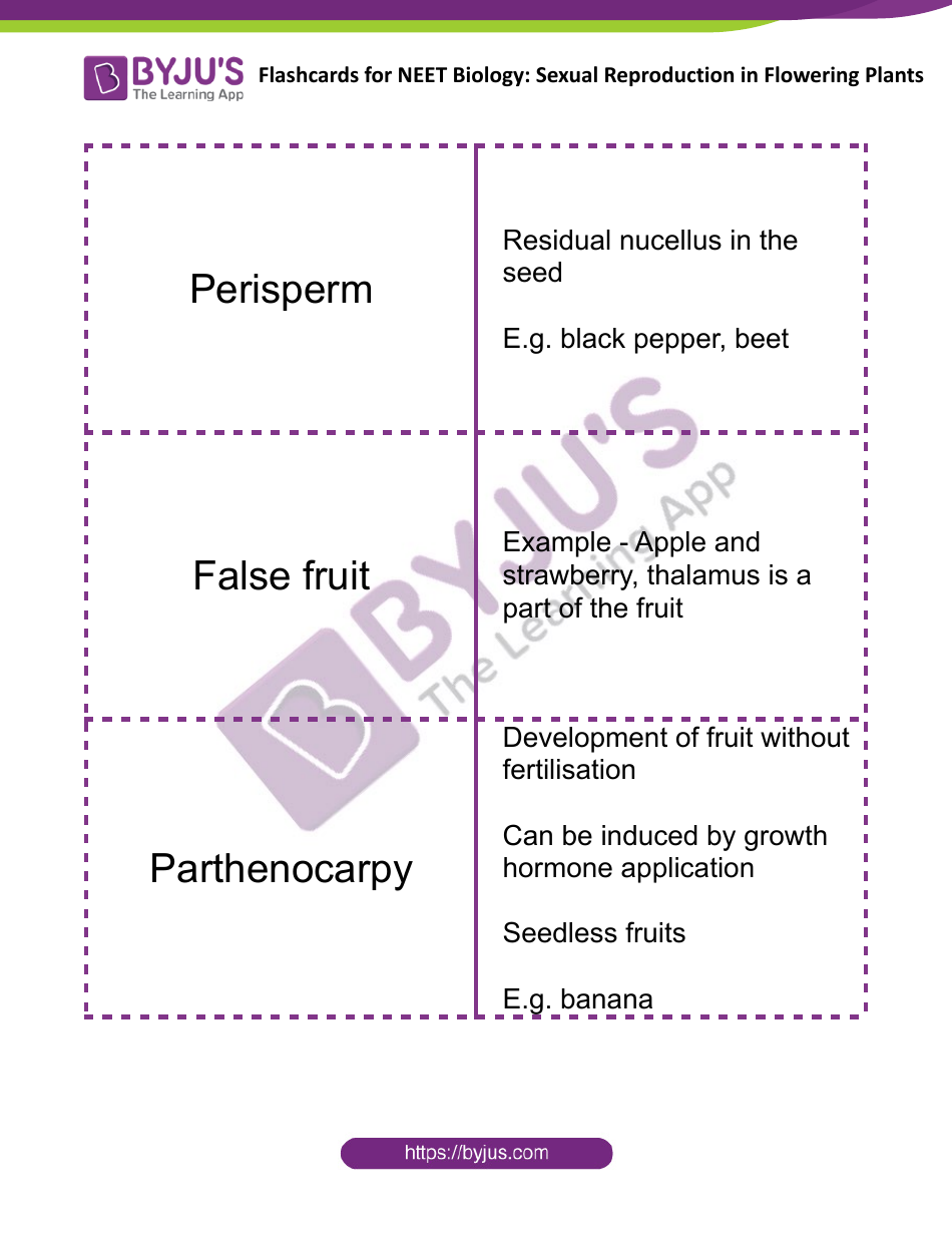 Neet Biology Flashcards - Sexual Reproduction in Flowering Plants, Page 10