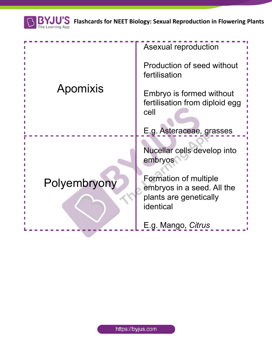 Neet Biology Flashcards - Sexual Reproduction in Flowering Plants, Page 11