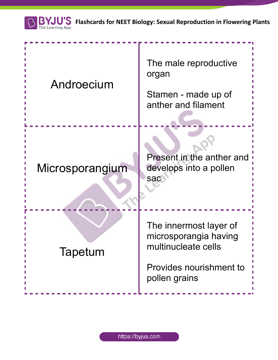 Neet Biology Flashcards - Sexual Reproduction in Flowering Plants, Page 1