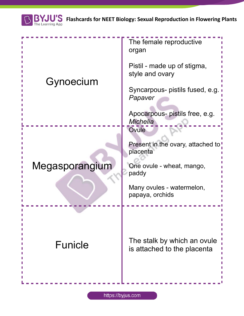 Neet Biology Flashcards - Sexual Reproduction in Flowering Plants, Page 4