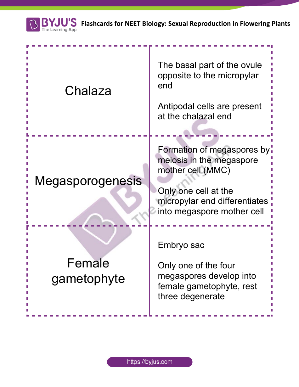 Neet Biology Flashcards - Sexual Reproduction in Flowering Plants, Page 6