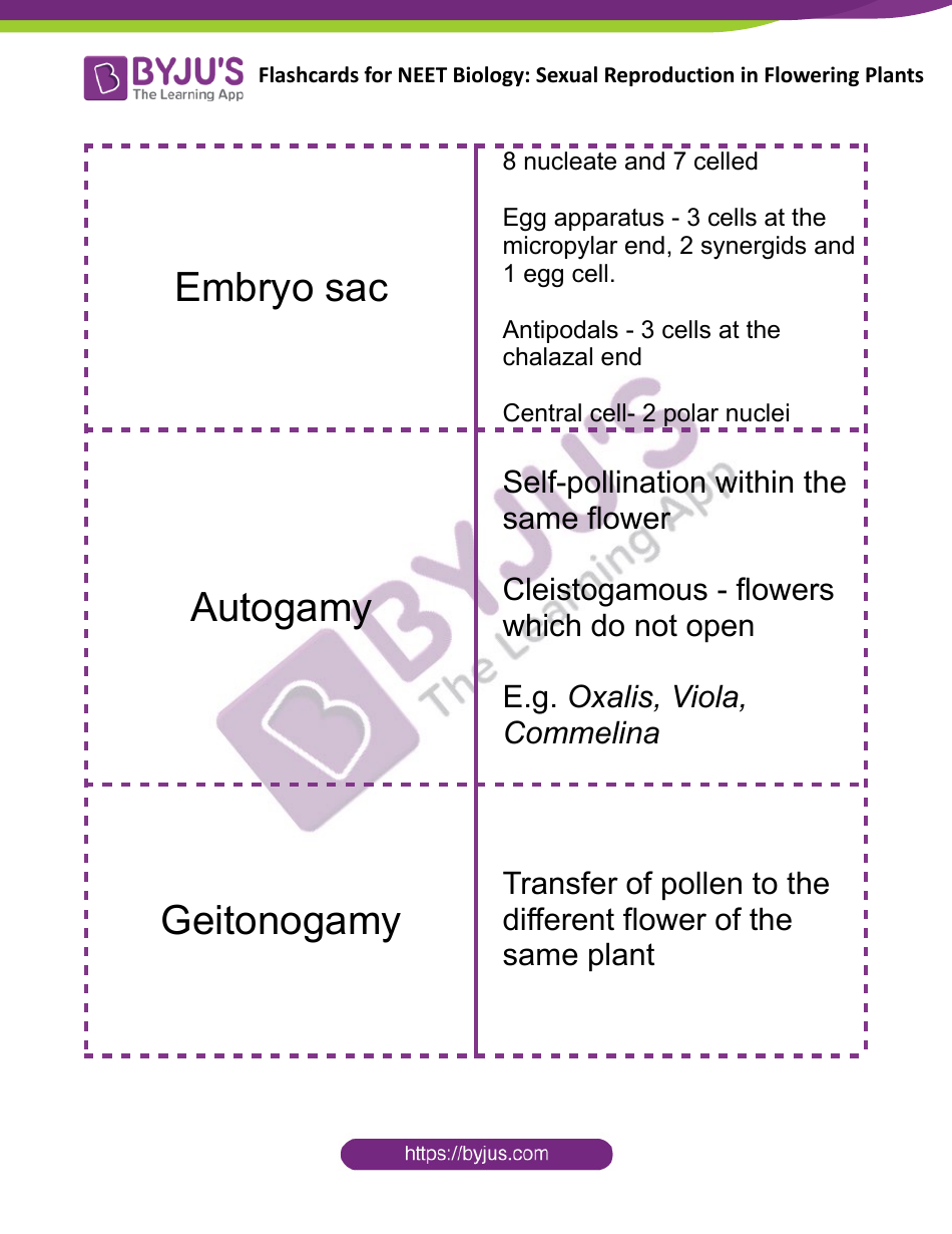 Neet Biology Flashcards - Sexual Reproduction in Flowering Plants, Page 7