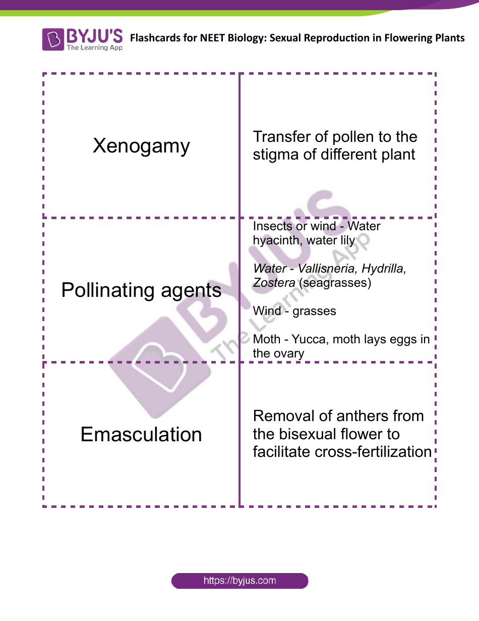 Neet Biology Flashcards - Sexual Reproduction in Flowering Plants, Page 8