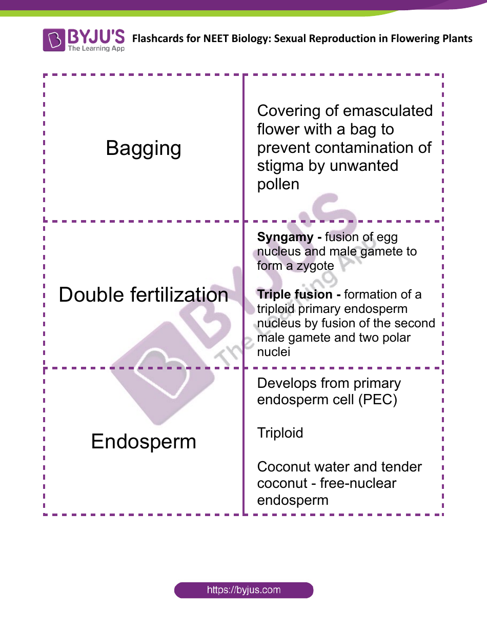 Neet Biology Flashcards - Sexual Reproduction in Flowering Plants, Page 9