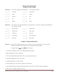 English Grammar Worksheet - Subject-Verb Agreement, Page 4