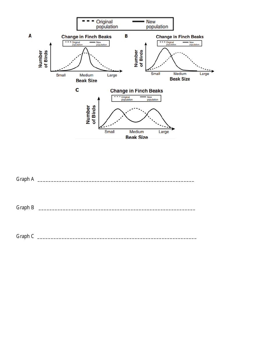 Biology Final Exam Review Questions, Page 10