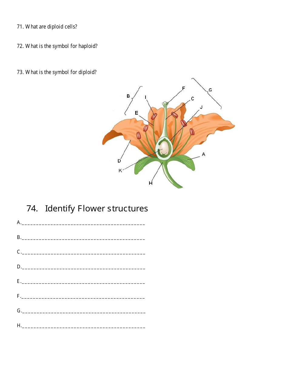 Biology Final Exam Review Questions, Page 15