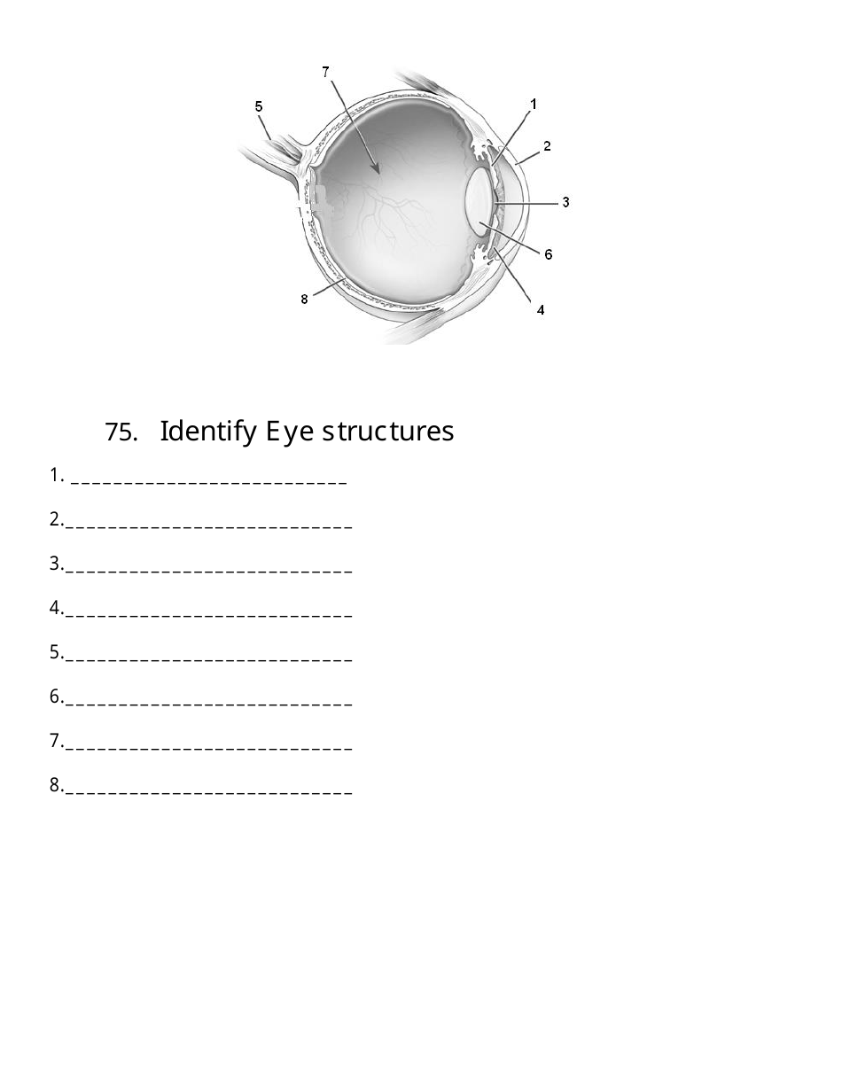 Biology Final Exam Review Questions, Page 16
