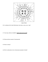 Biology Final Exam Review Questions, Page 7