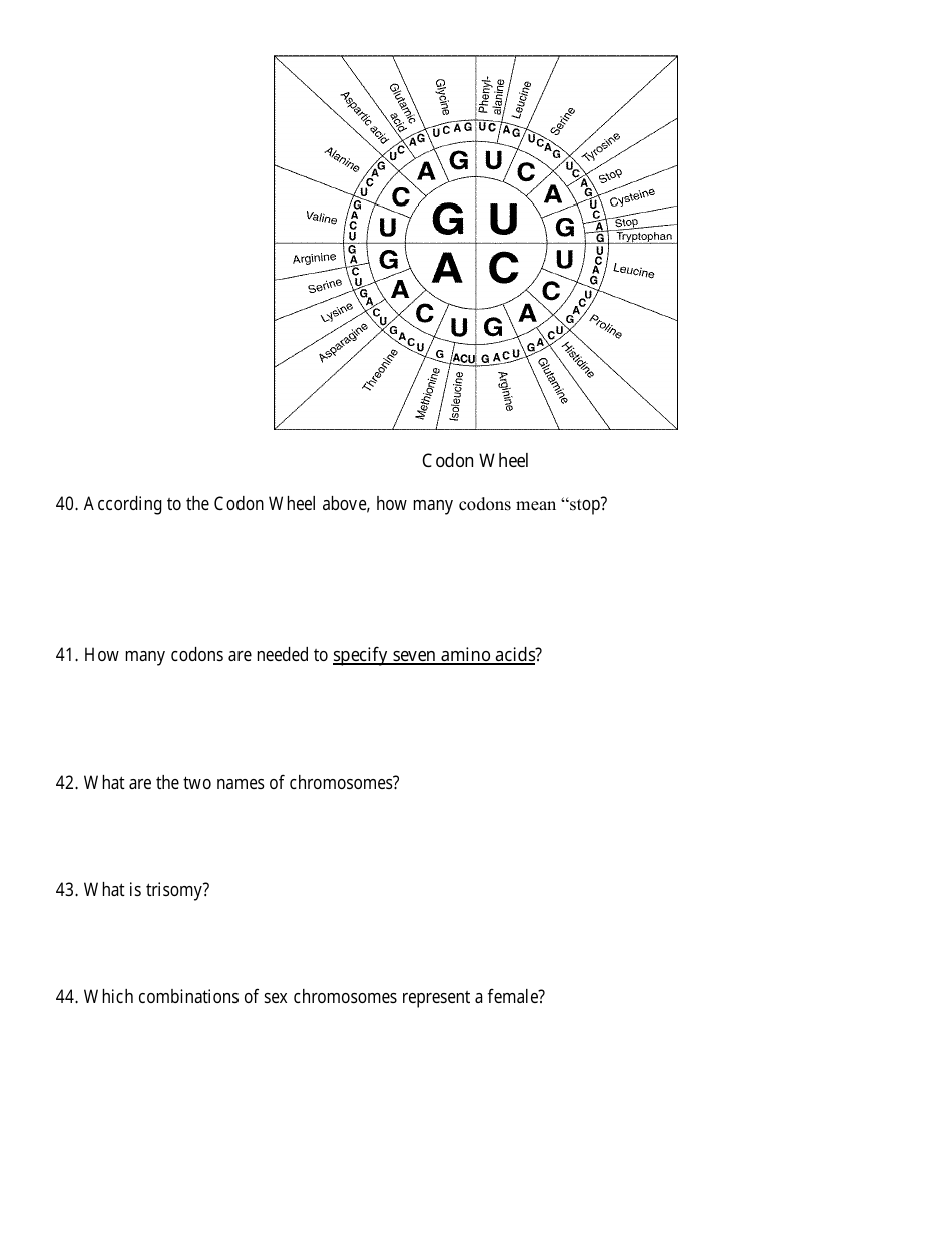 Biology Final Exam Review Questions, Page 7