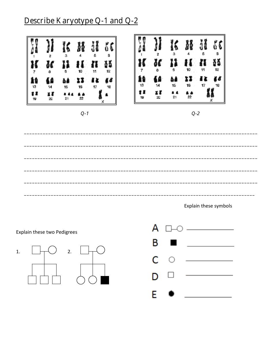 Biology Final Exam Review Questions, Page 8