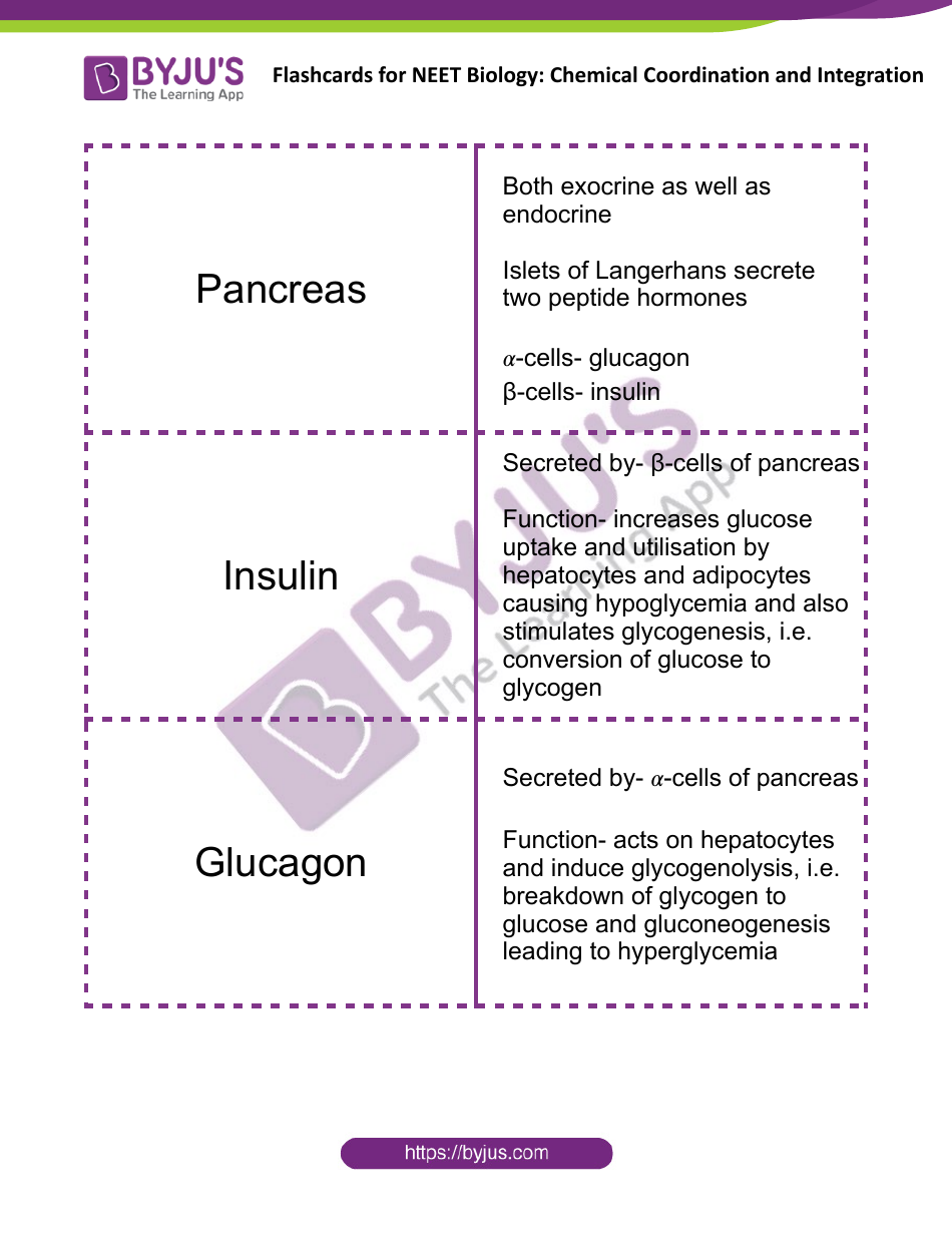 Neet Biology Flashcards - Chemical Coordination and Integration, Page 10