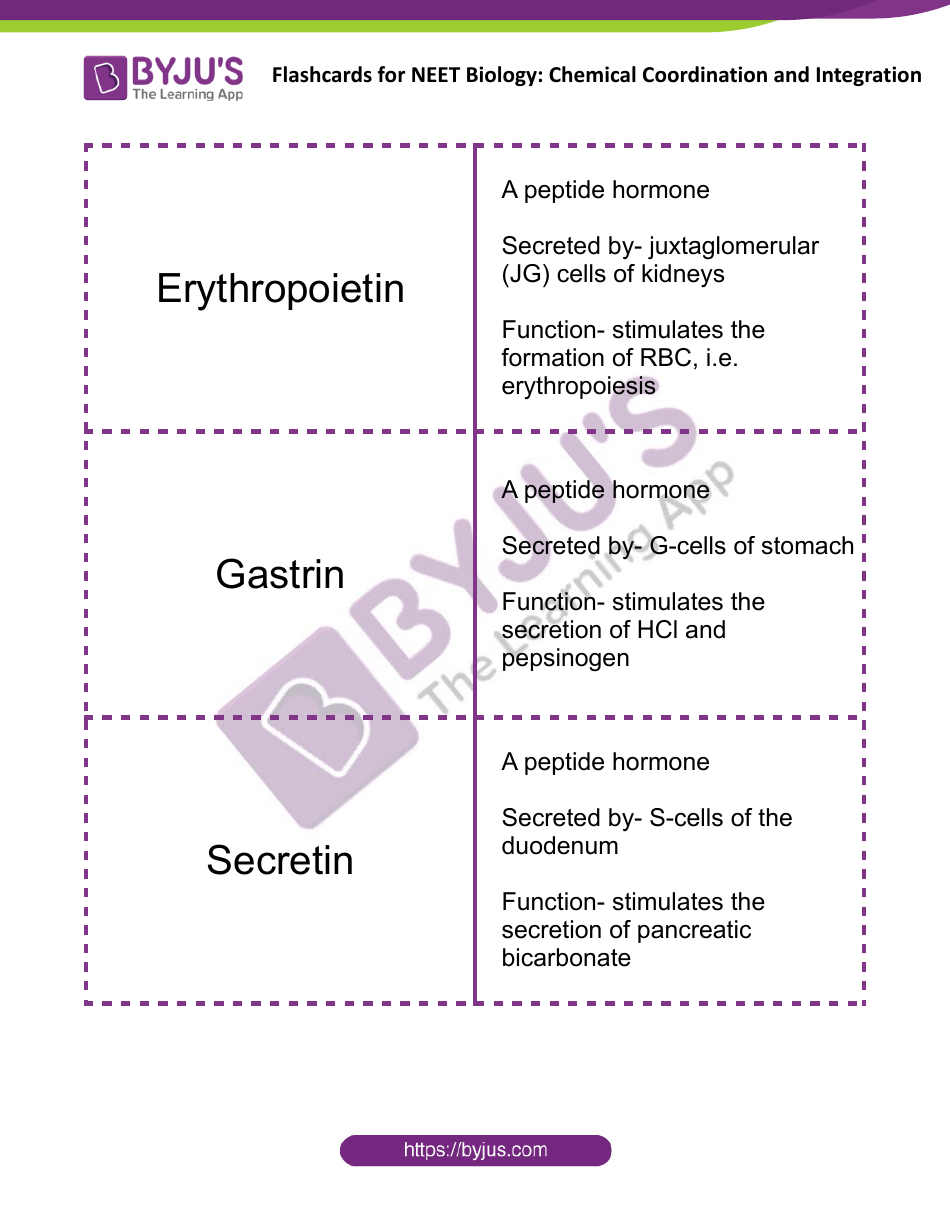 Neet Biology Flashcards - Chemical Coordination and Integration, Page 12