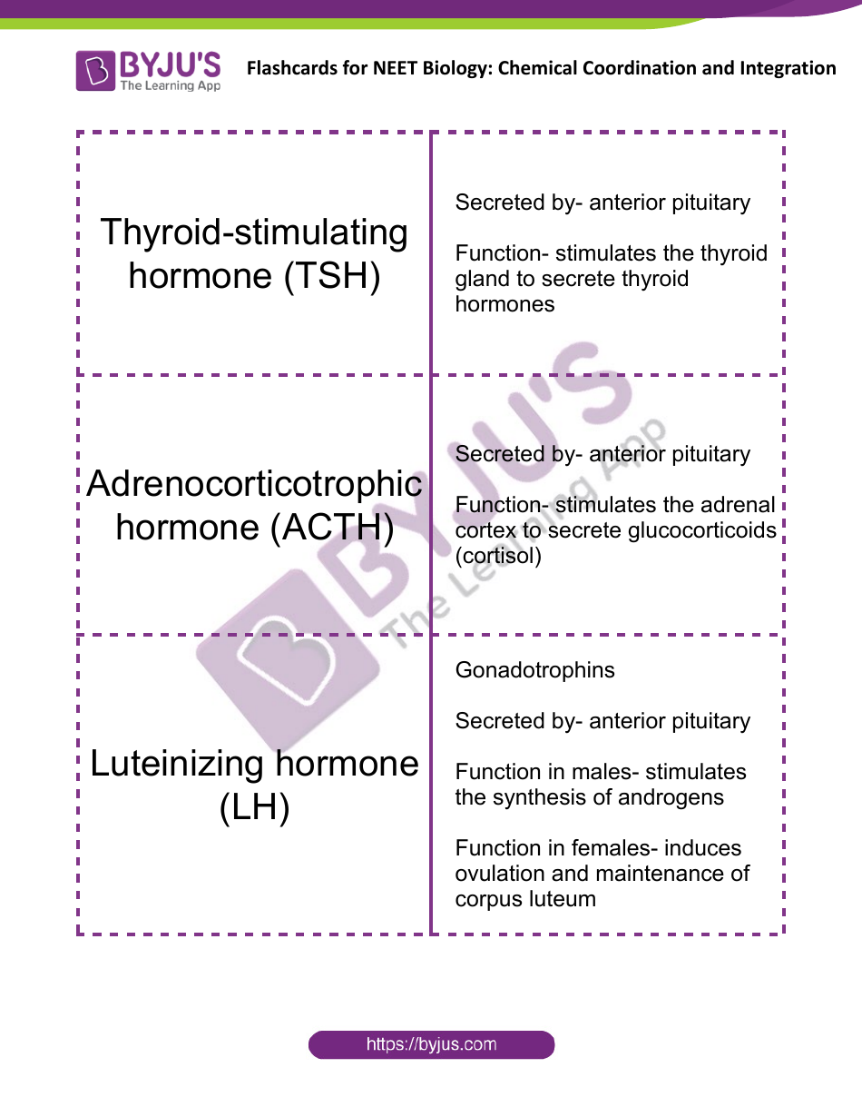 Neet Biology Flashcards - Chemical Coordination and Integration, Page 4