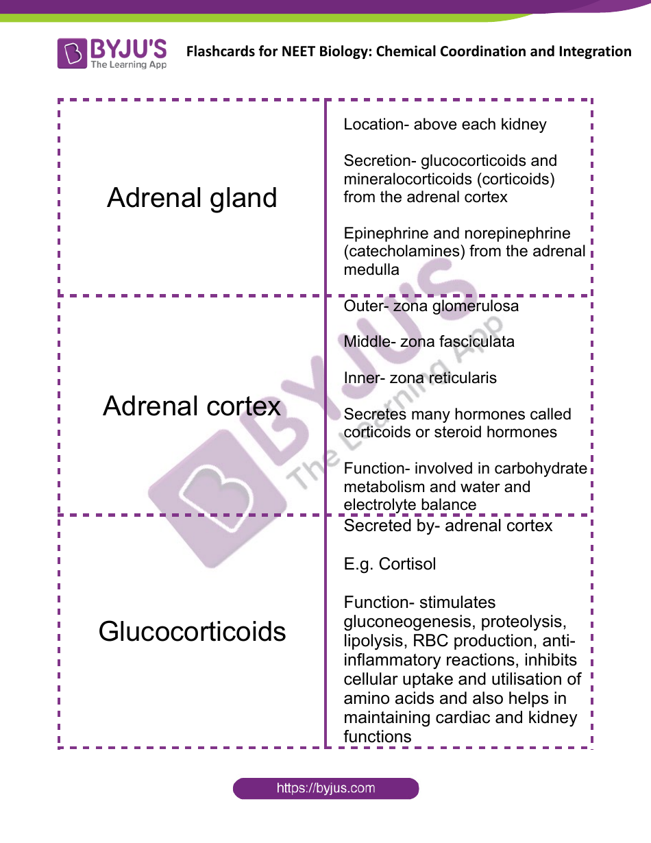 Neet Biology Flashcards - Chemical Coordination and Integration, Page 8