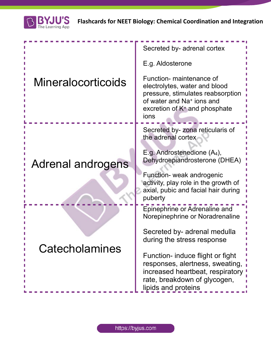 Neet Biology Flashcards - Chemical Coordination and Integration, Page 9