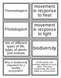 Biology Flash Cards, Page 10