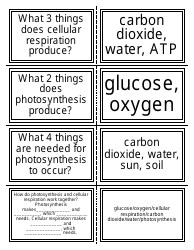 Biology Flash Cards