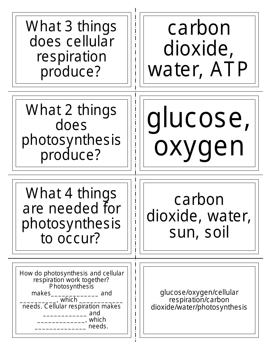 Biology Flash Cards, Page 1