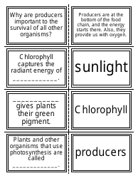 Biology Flash Cards, Page 2