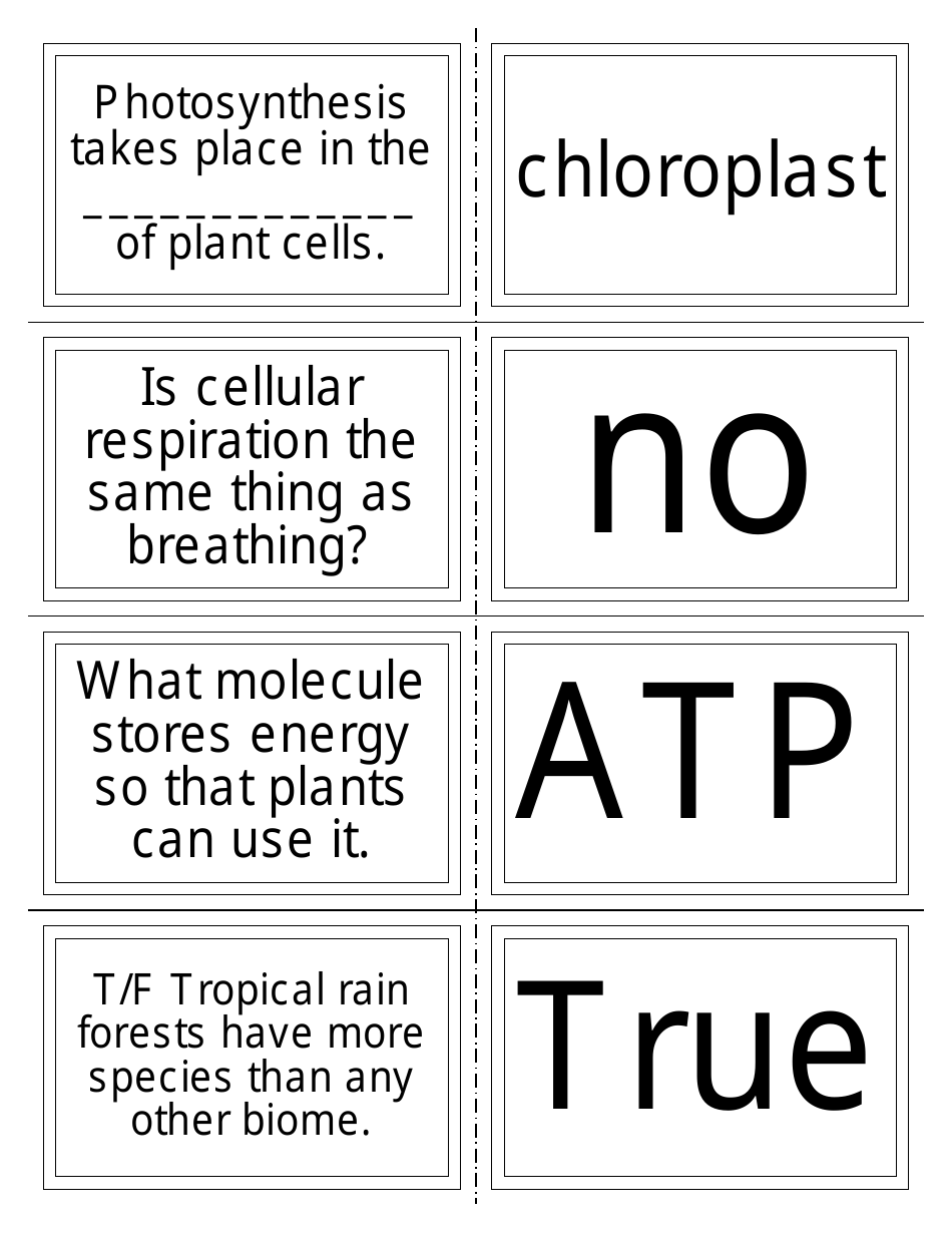 Biology Flash Cards, Page 3