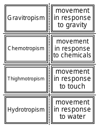 Biology Flash Cards, Page 9