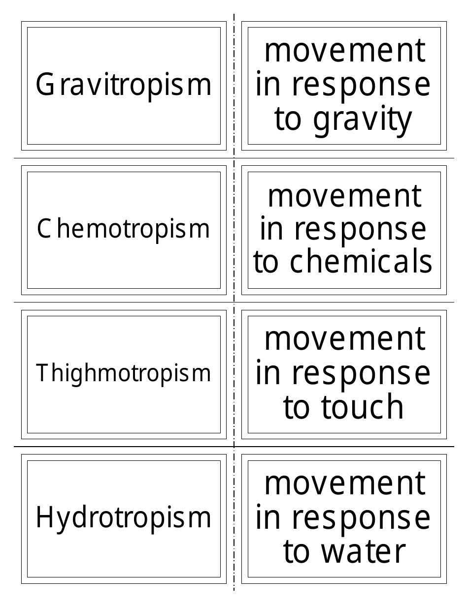 Biology Flash Cards, Page 9