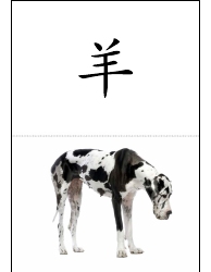 Chinese Flash Cards - Animals, Page 4