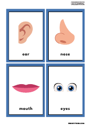 Document preview: Body Parts Flashcards for Speech Therapy
