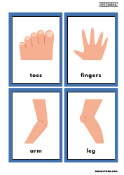 Body Parts Flashcards for Speech Therapy, Page 3