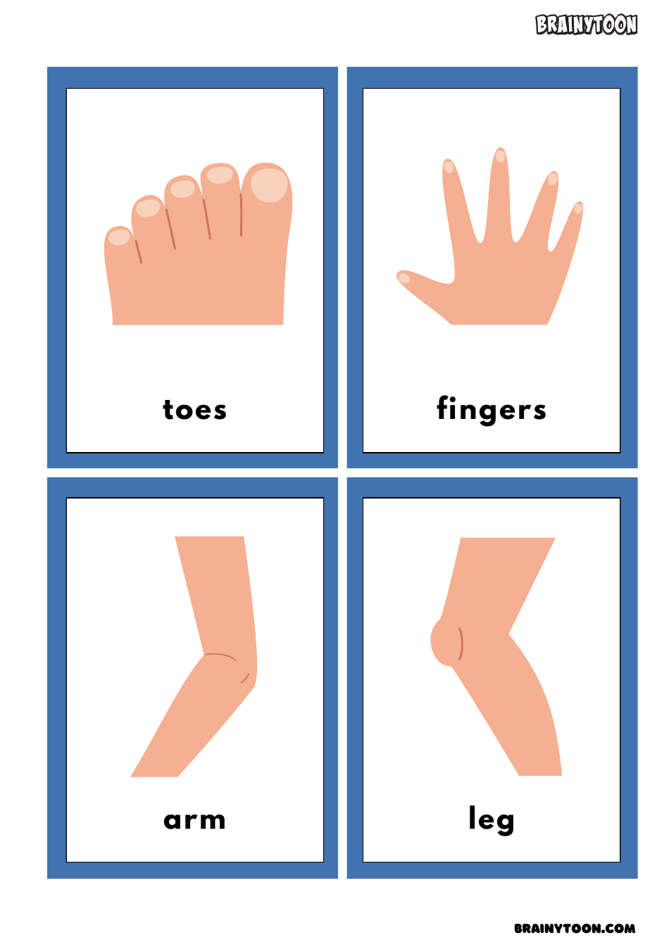 Body Parts Flashcards for Speech Therapy, Page 3