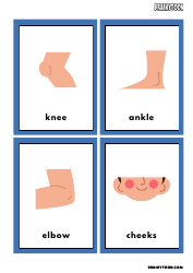 Body Parts Flashcards for Speech Therapy, Page 5