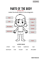 Body Parts Flashcards for Speech Therapy, Page 7