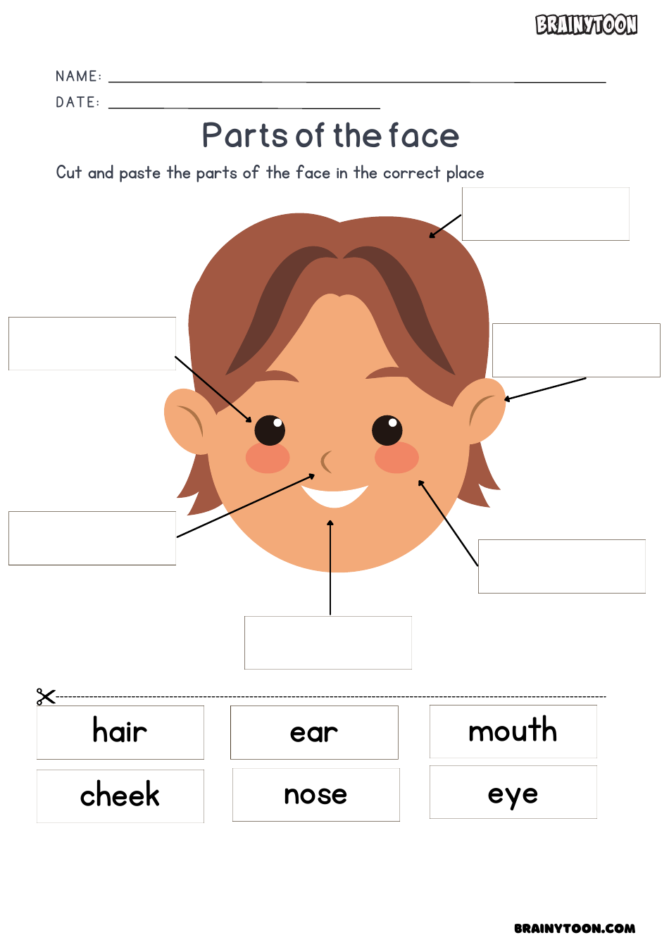 Body Parts Flashcards for Speech Therapy Download Printable PDF ...