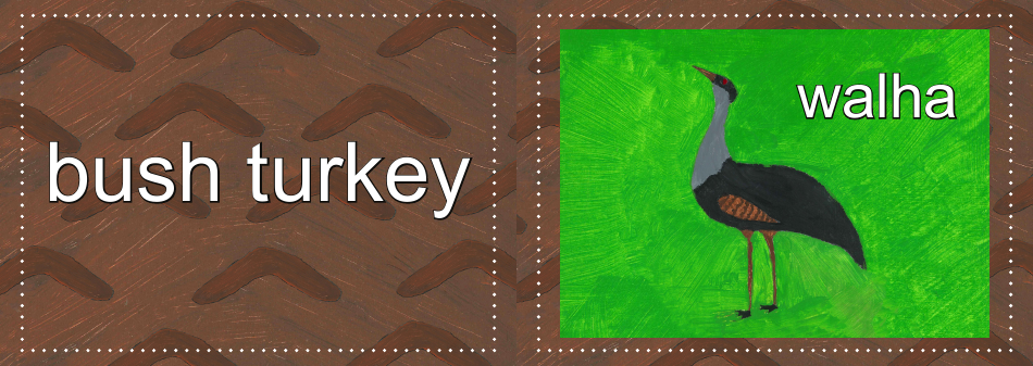 Adnyamathanha Language Flashcards, Page 17