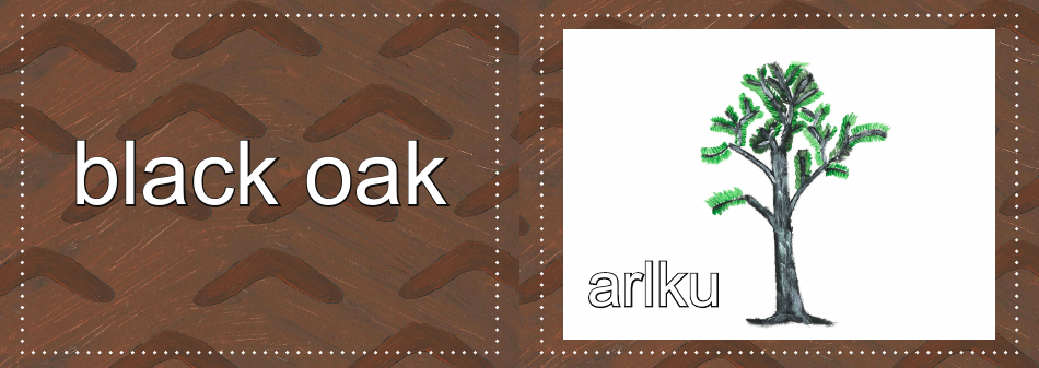 Adnyamathanha Language Flashcards, Page 20